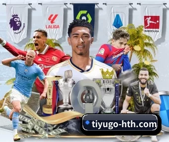 tiyugo-hth.com APP